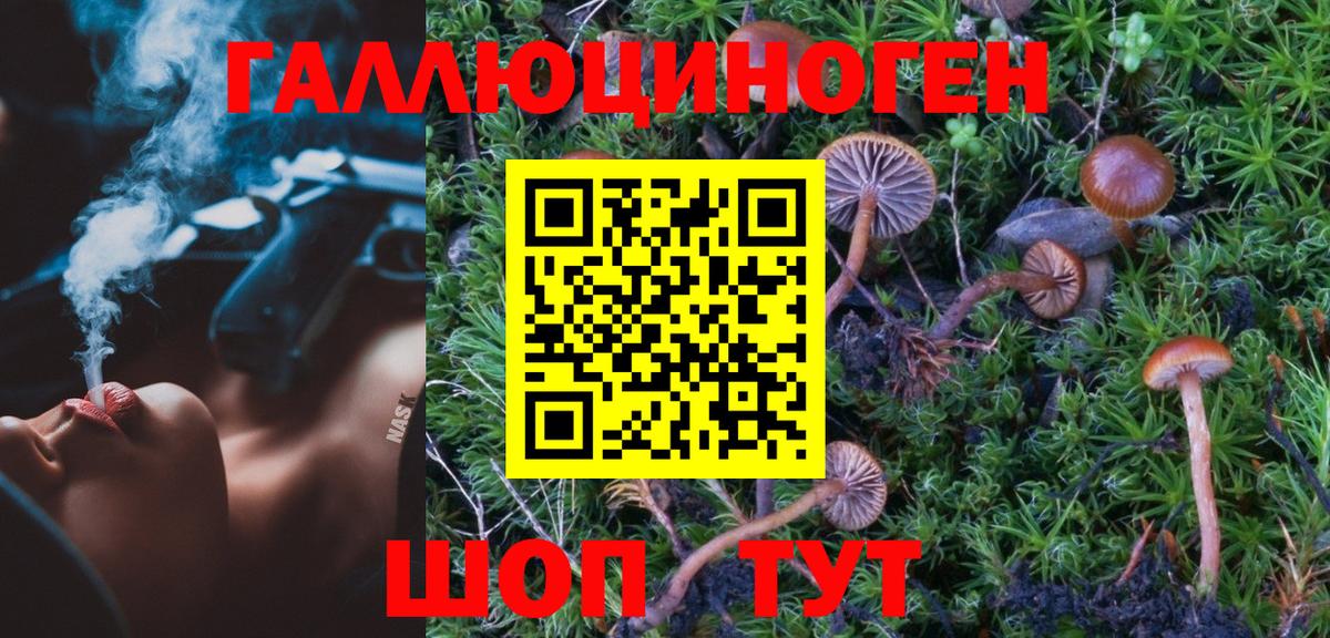 Ишим  Псилоцибиновые грибы прущие грибы  купить наркотики сайты  Вход с VPN 